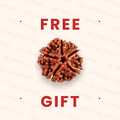 Nepali 5 Mukhi Rudraksha