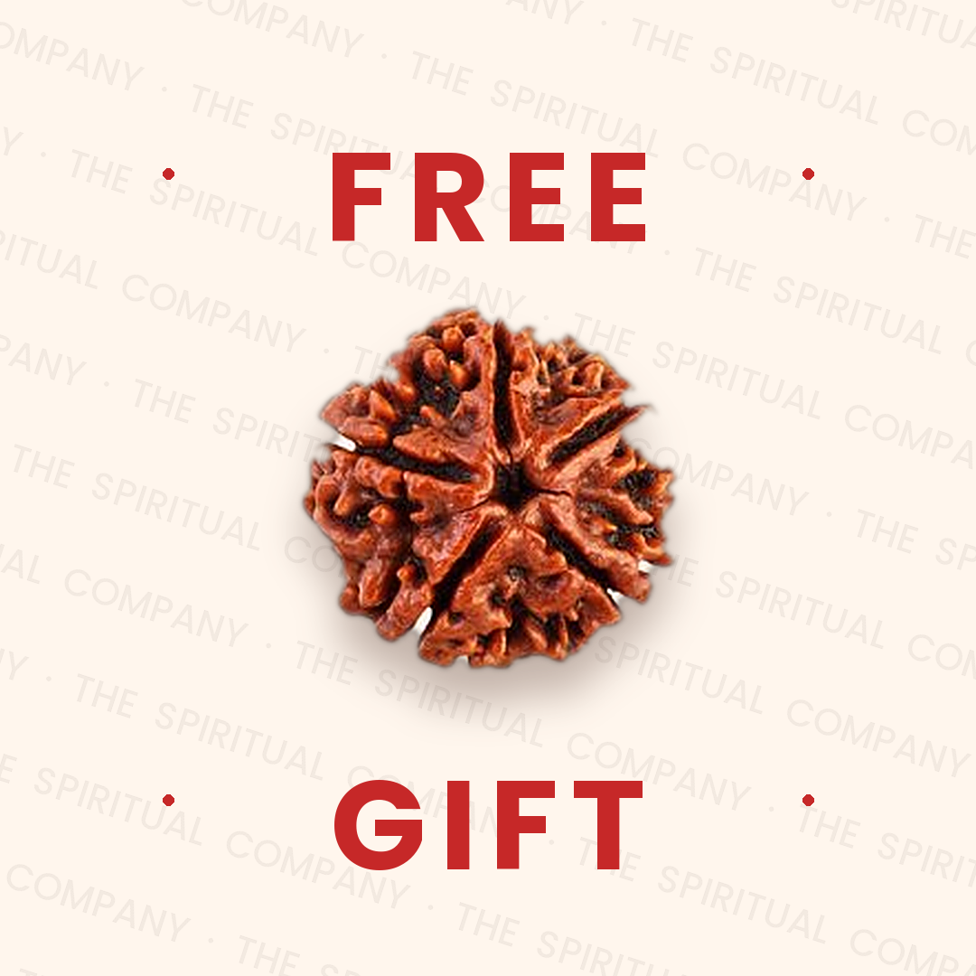 Nepali 5 Mukhi Rudraksha